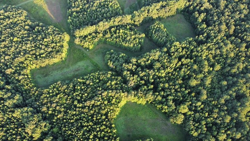 dji_fly_20250726_070558_479_1753527979783_photo_optimized