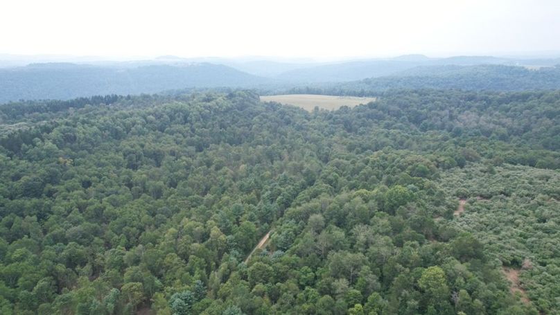 dji_fly_20250806_140922_597_1754530447885_photo