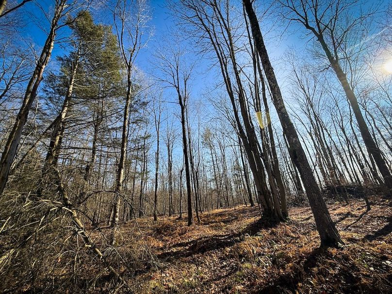 Chemung_31.75_Seymour_North_Photos_27