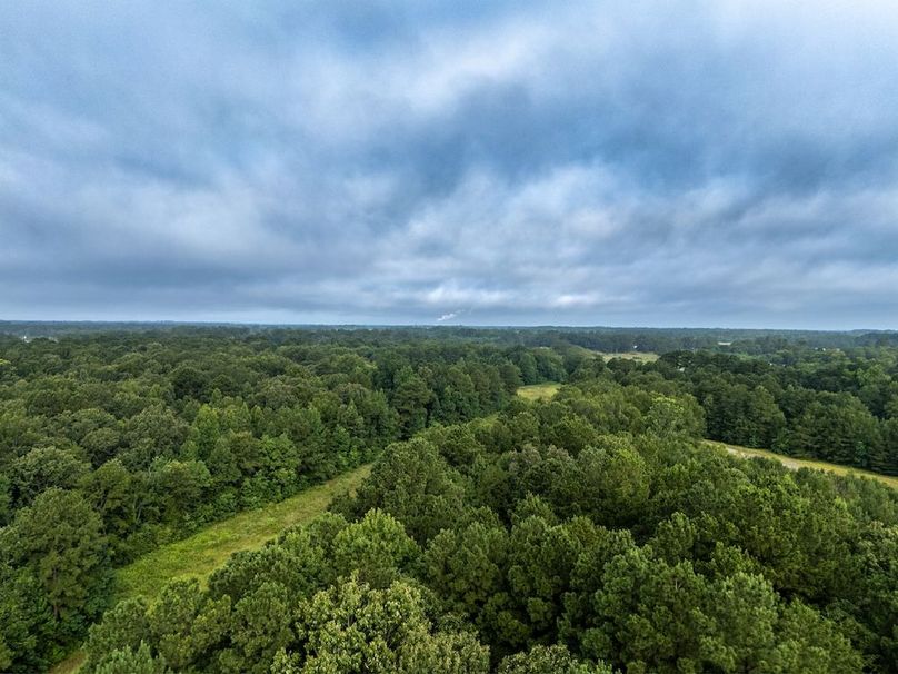 18 Panola Co. 40ac - Rouse-09