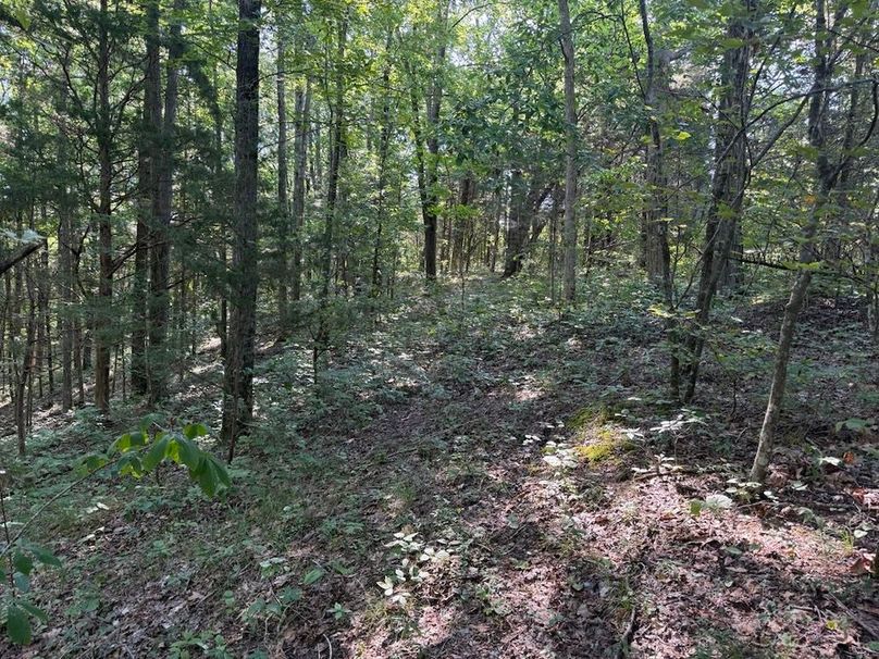 Adair 24.27 Hartsog 12 