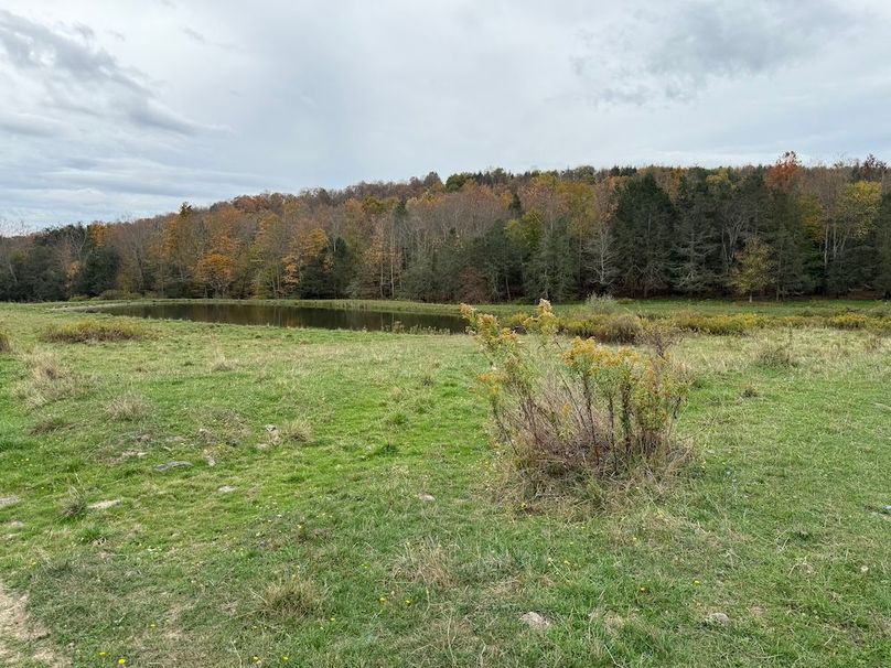 Chemung_184.12_Sterling 38