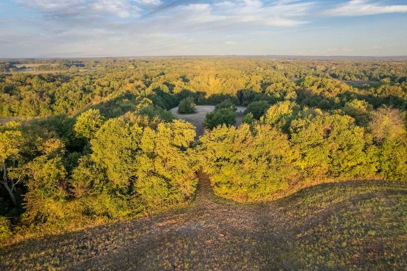 Lamar County- 93 acre reshoot (24 of 38)