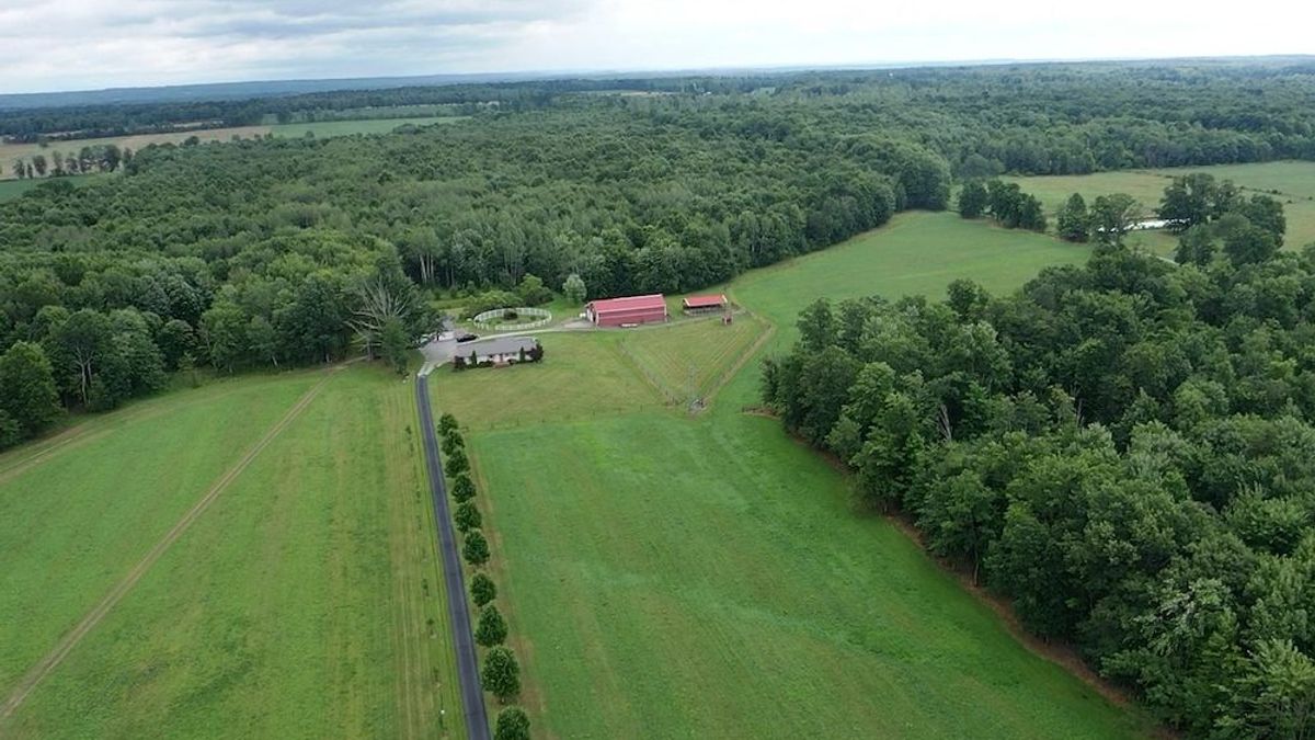 Beautiful Large Property With Home And Outbuildings In NE Ohio