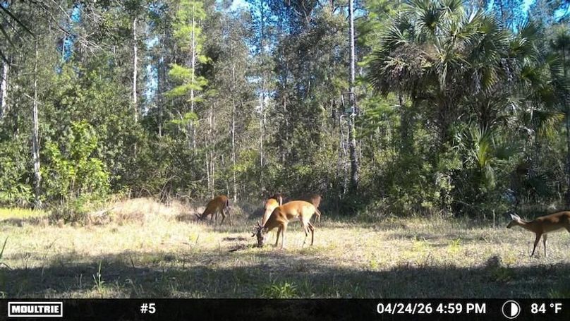 Temp_3170731-20260424205939-100MFCAM_MFDC1947