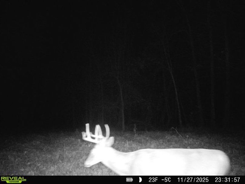 860516068101389-80-2-11272025233156-V-W1002082