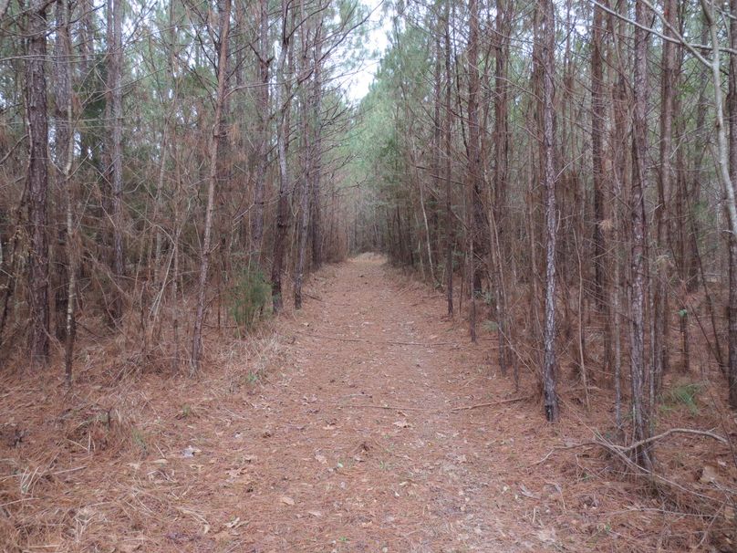 EF68A6C7-AC8F-4571-AB80-EC5105E907EB