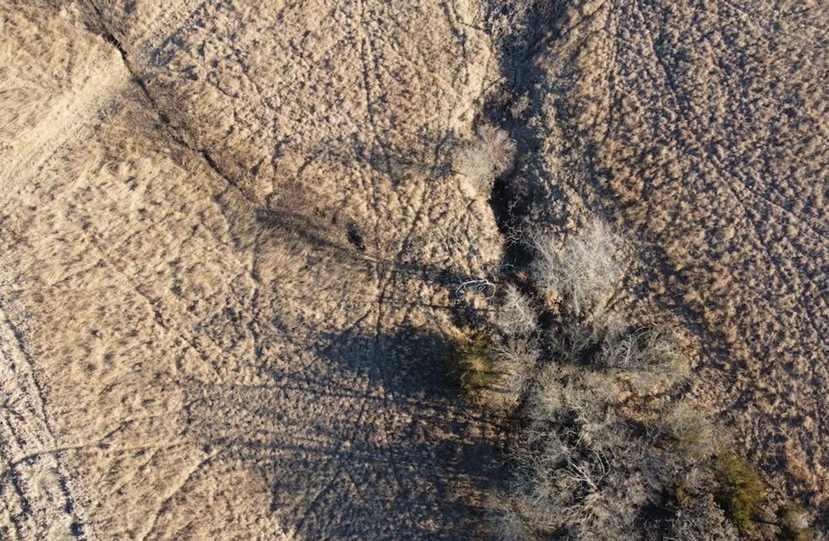 7AE8AB8B-BFF4-4B53-81F6-D0ED17992A0C