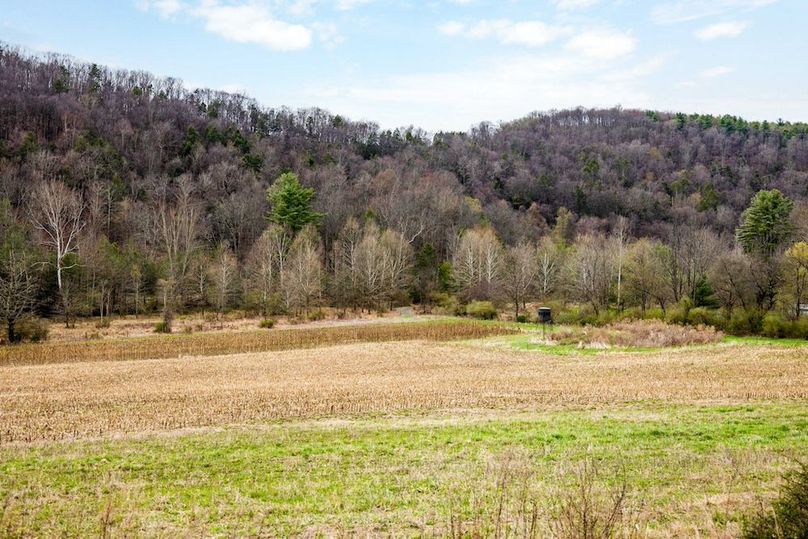 22-web-or-mls-IMG-22