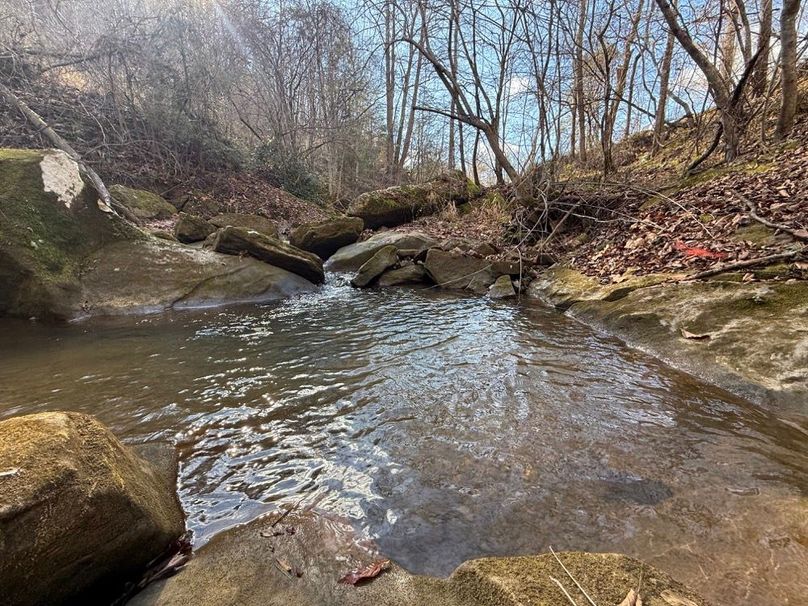 009 another view of the beautiful Lick Creek along the south boundary