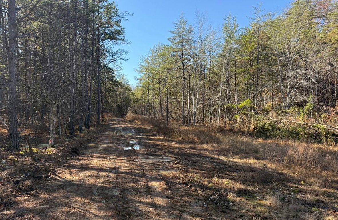 003 the access road leading along the north boundary