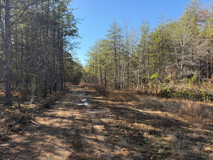 003 the access road leading along the north boundary