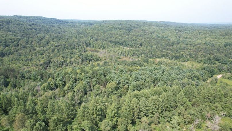 dji_fly_20250804_154634_500_1754355802670_photo