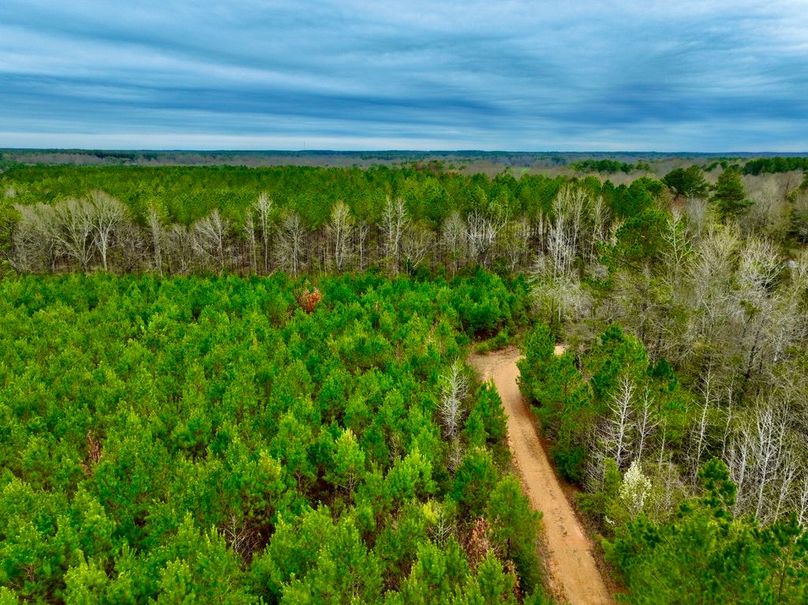 52E7E673-6344-44C8-8747-05D1970F0F2D_1_105_c