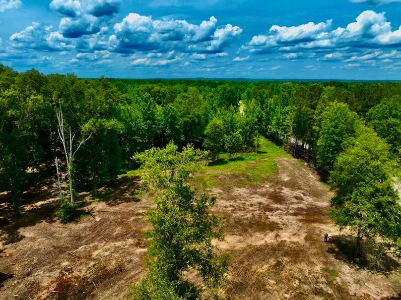 50AC3B60-27D9-47E5-8167-215B48EB4CCF_1_105_c