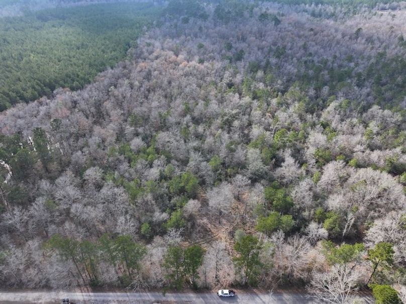 dji_fly_20260212_140906_0060_1771284242143_photo