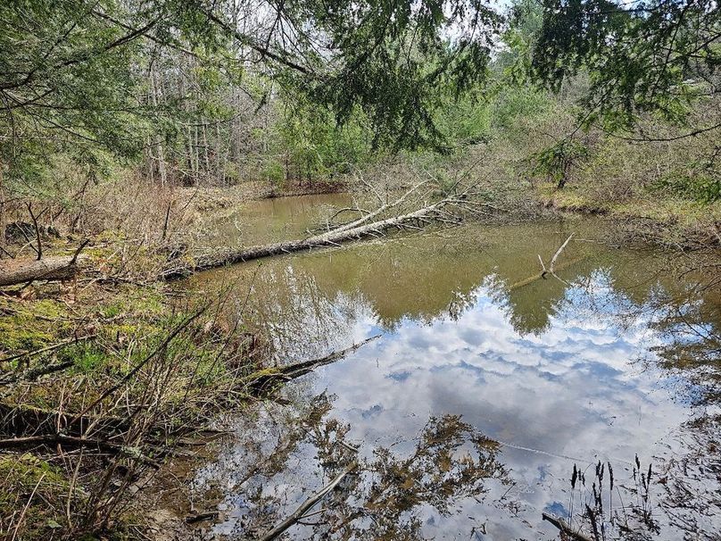 photo_faeb3c21-f9f4-40db-adf0-88baec031286