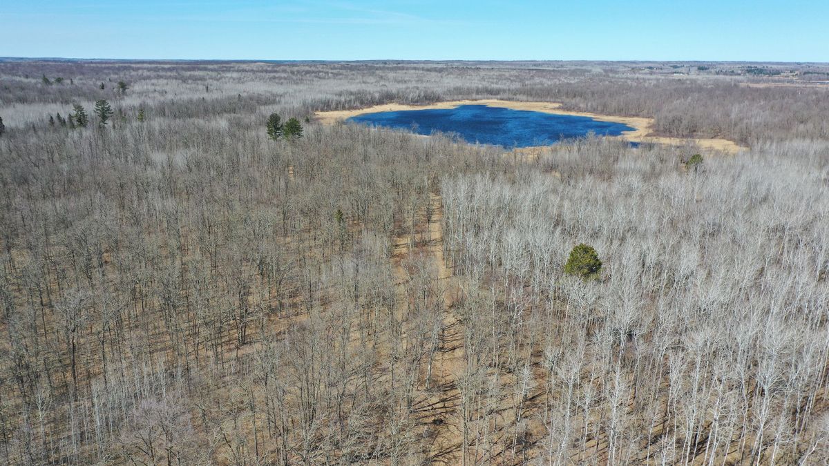 Great Hunting Property On Kimball Lake Whitetail Properties
