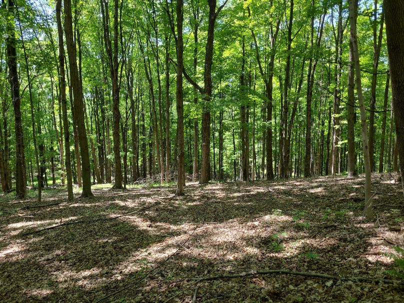 photo_080a6e7b-9c5a-427e-8697-7f251a23de47