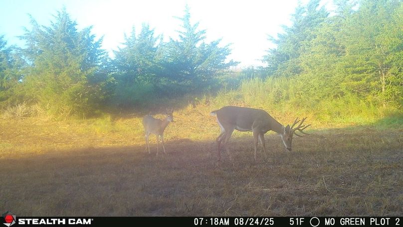 2025082407180401005513_ColorizationType.none