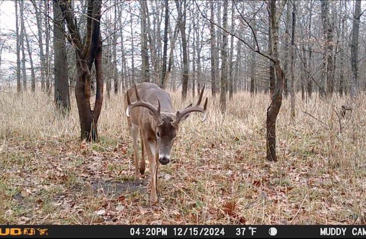 B Image 12-28-24 at 6.16 PM 2