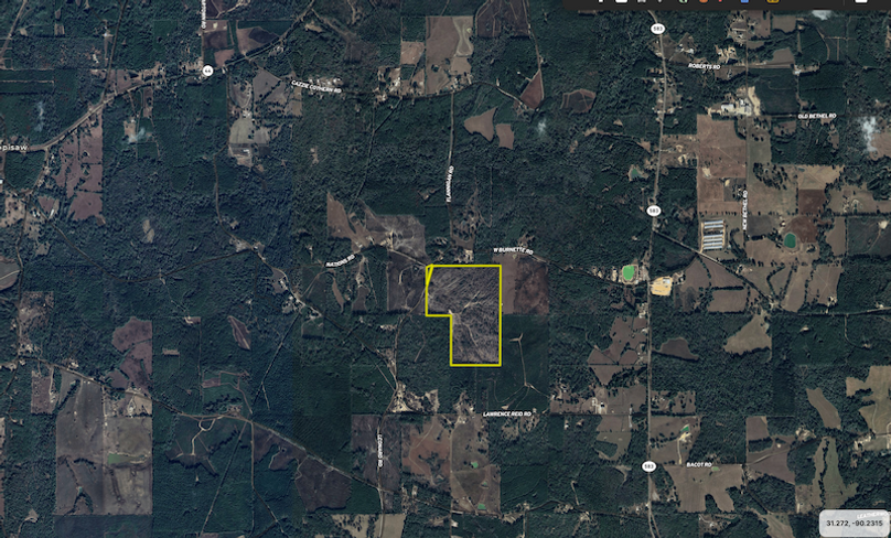 Screenshot 2025-09-12 at 4.46.23 PM