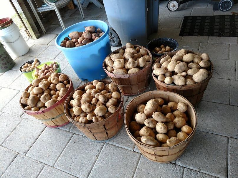 IMG_20180704_151552139