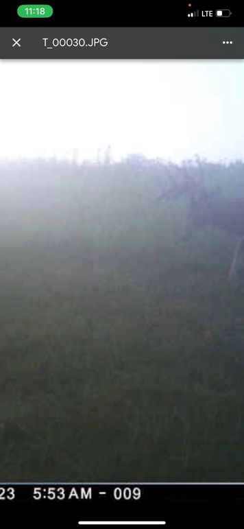 Screenshot 2023-07-30 at 11.18.45 AM