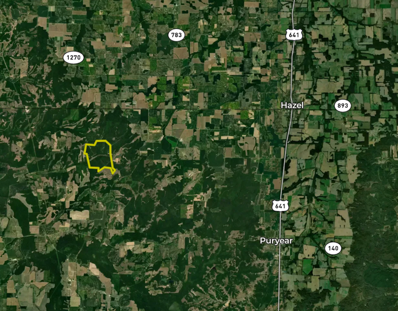 Screenshot 2026-02-24 at 10.01.57 AM