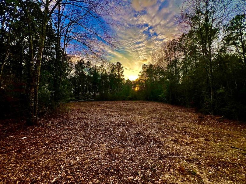 433EB619-9EA0-45D7-BB28-2853A0955B27_1_201_a