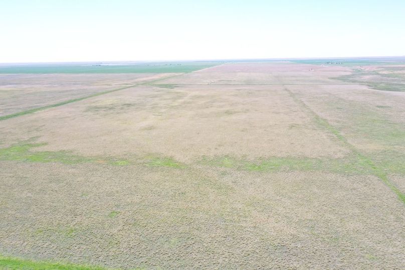 DJI_0683