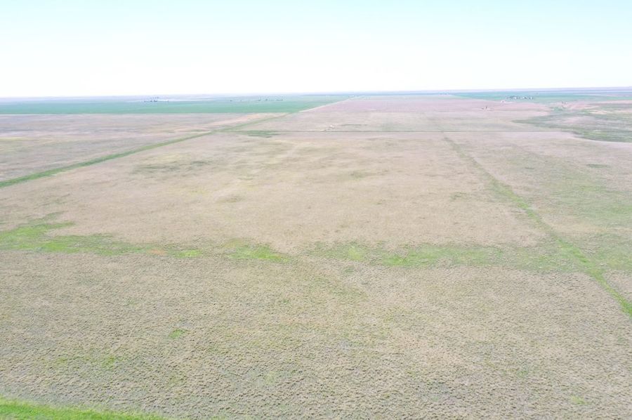 DJI_0683