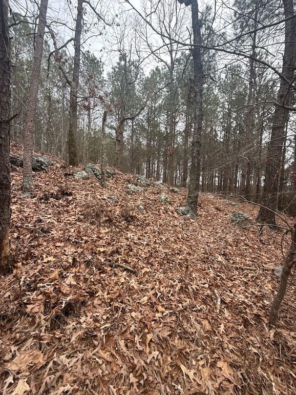 DJI_20260303_131227_743