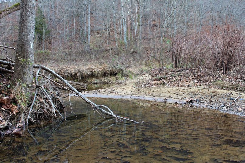 016 Clear Fork creek along the south boundary