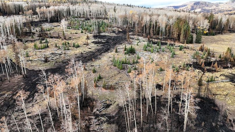 DJI_20250927093305_0217_D