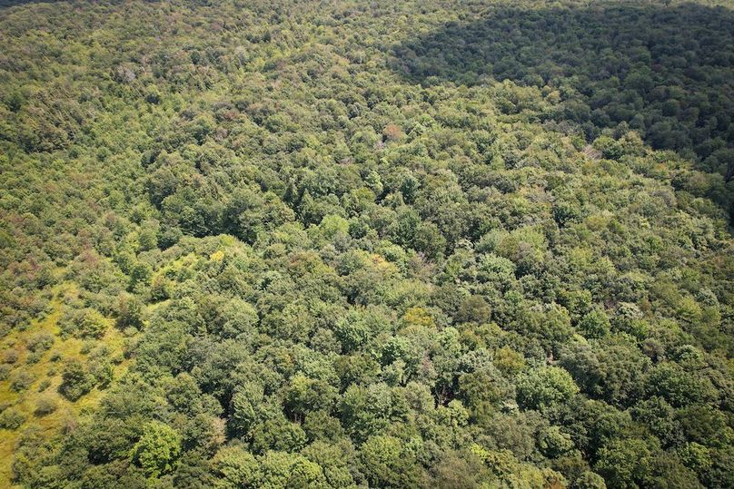 Oswego_100_Roof_Photos_33