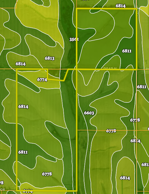 Screenshot 2025-08-05 141320