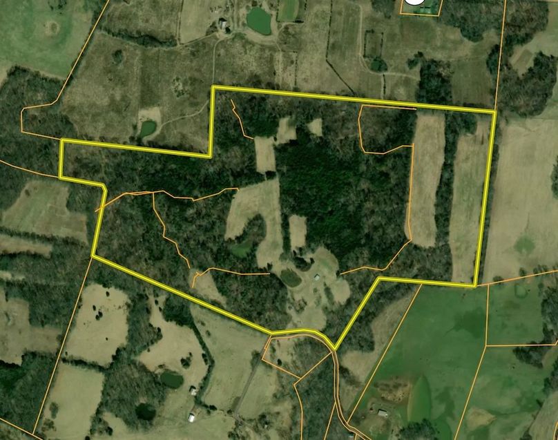 9D95C14D-DE28-4E9D-9A8C-81C036004BEA