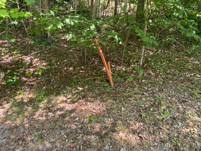 Macon 3.38 Bloodworth-15