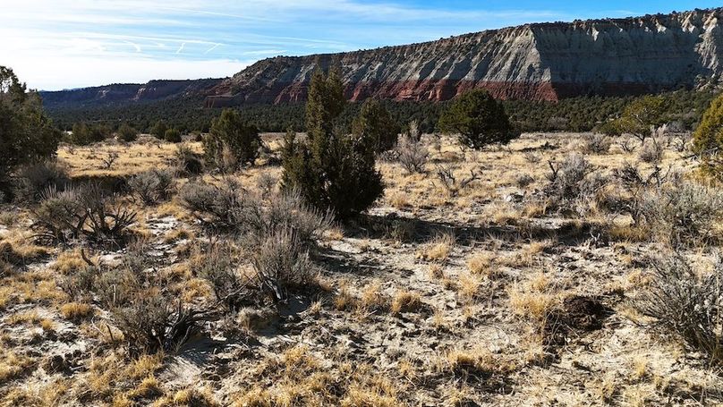 DJI_20241219101807_0062_D