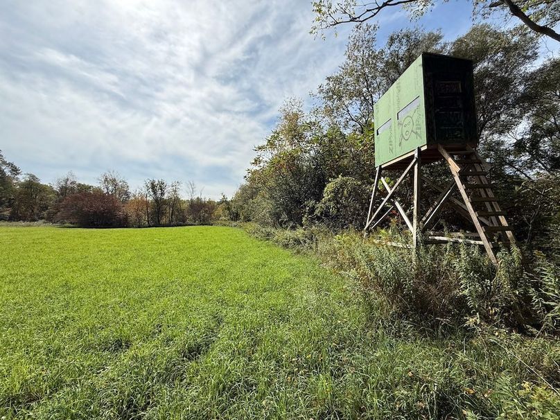 Cayuga_55.02_Herman Photo 32