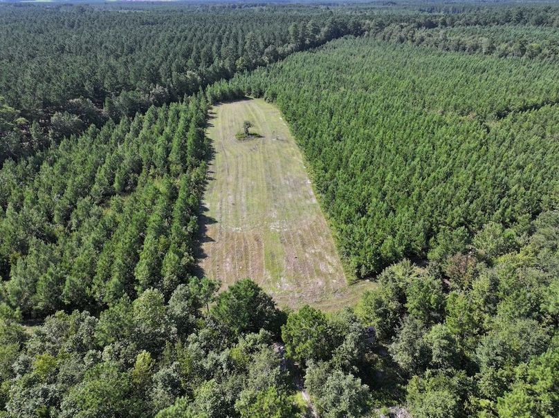 DJI_20240820164133_0023_D