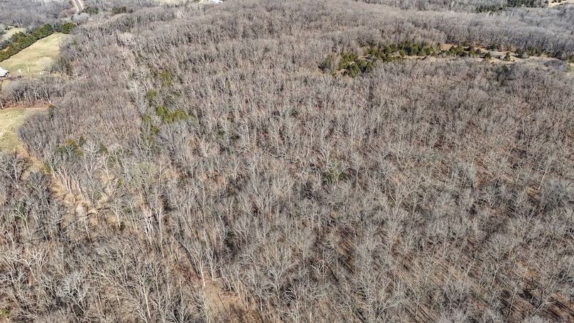 DJI_20250316085859_0036_D