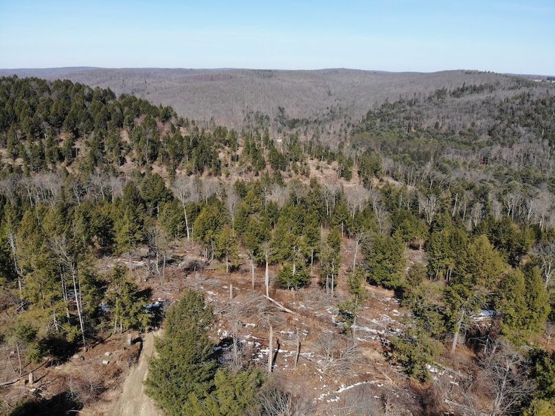 DJI_0113