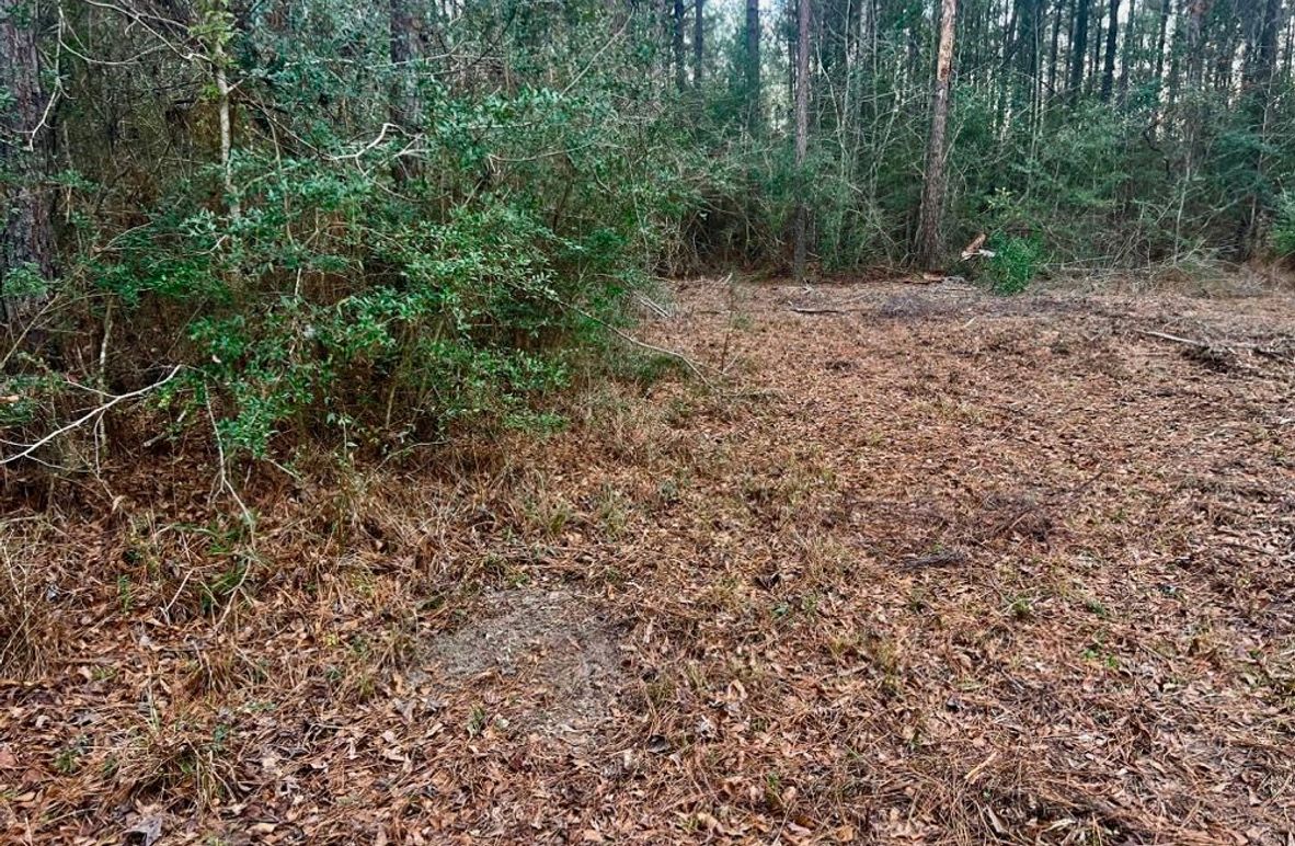 2E73A1D4-41D5-4DD9-9C6C-CE0DACAF4A27_1_201_a