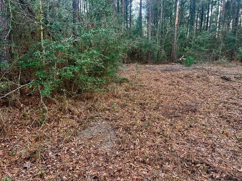 2E73A1D4-41D5-4DD9-9C6C-CE0DACAF4A27_1_201_a