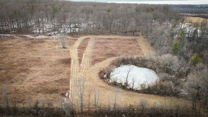 Seneca_24.54_Hohwald_Photos_13