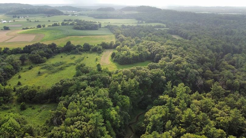 dji_fly_20240715_182814_706_1721086102341_photo_optimized