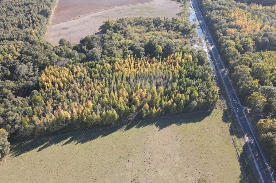 dji_fly_20241017_161000_342_1729199411716_photo 2
