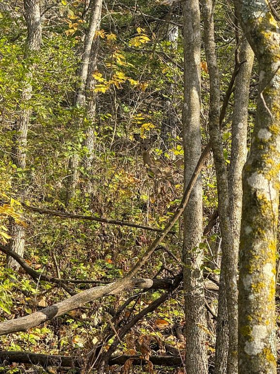 Houston 24.97 Updated-32